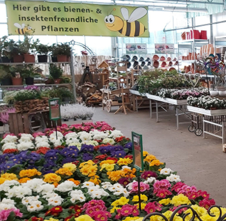 Eifel Flor