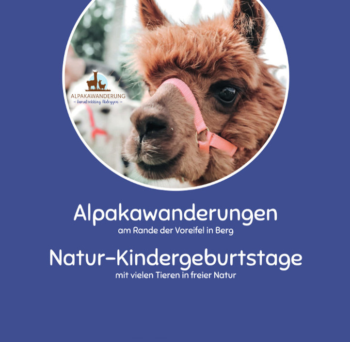 Alpakawanderungen